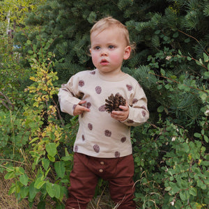 Pinecones Set