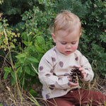 Pinecones Set