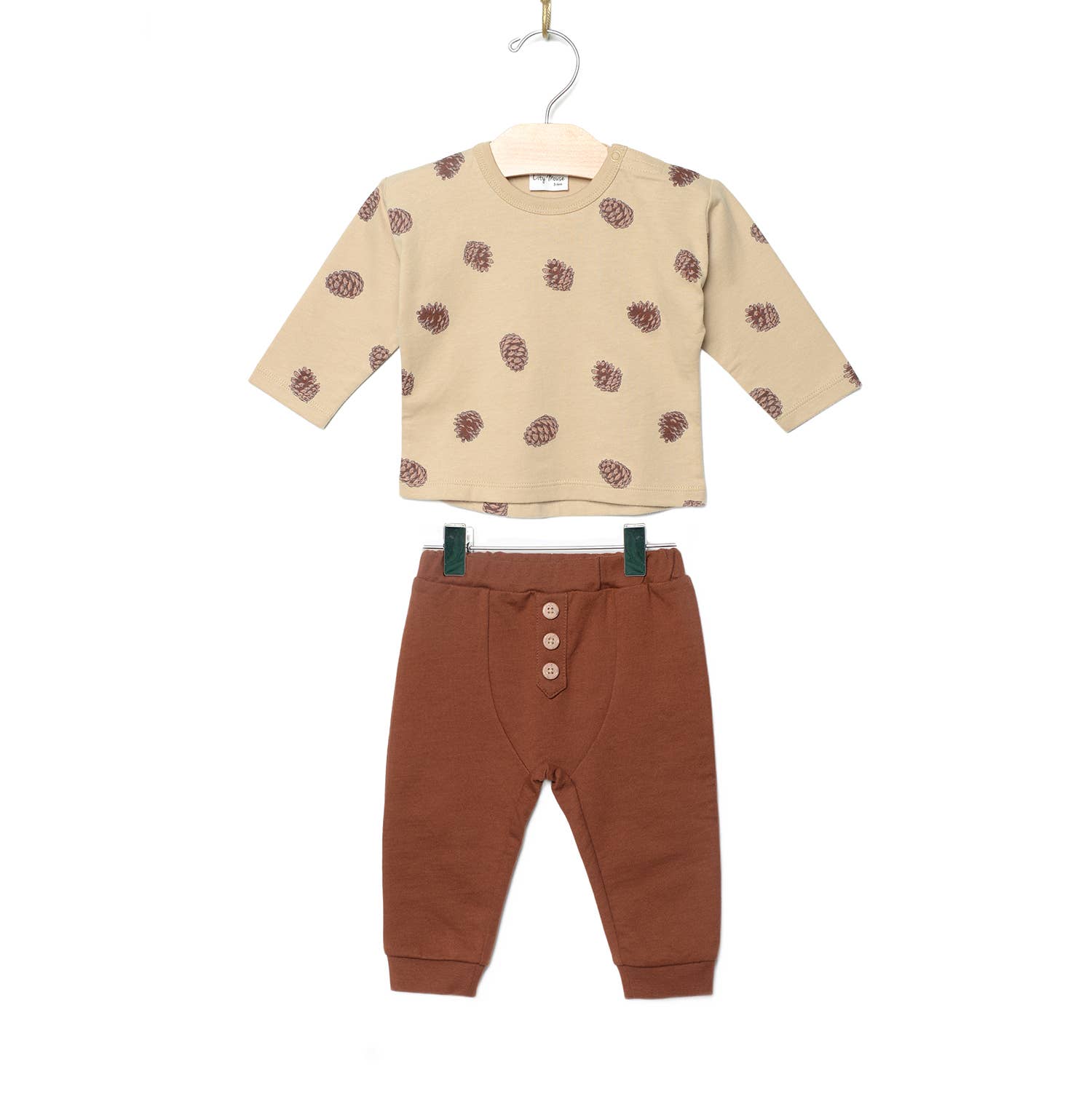 Pinecones Set