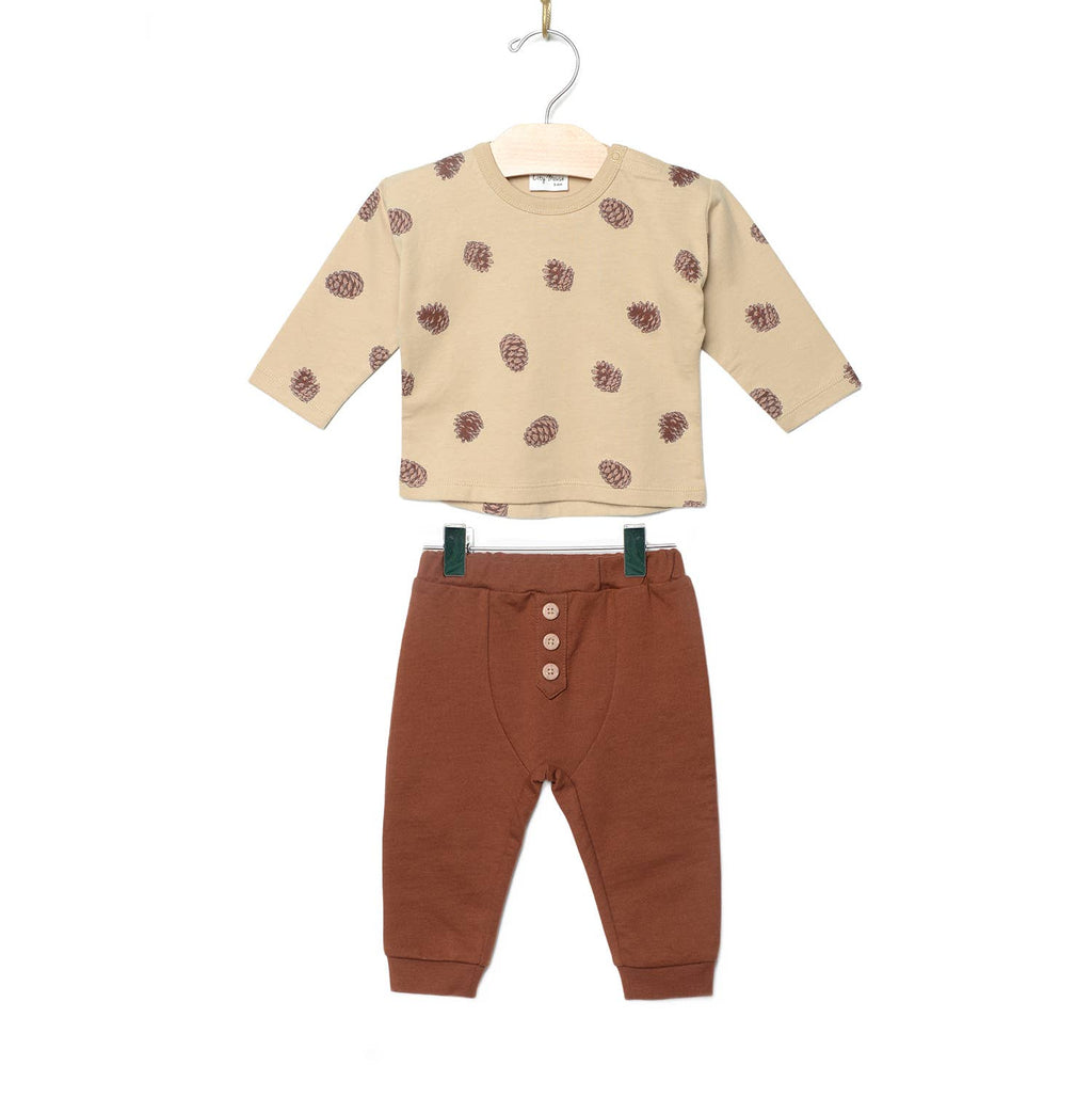 Pinecones Set
